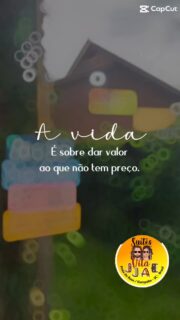 Praia e descanso: É possível tudo junto e misturado 🙏. 📲 48 991249087  #suitesvilajjae #pousadanapraiadorosa #surflandgaropaba