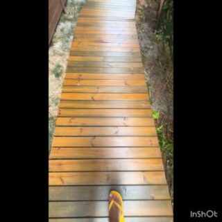 Suítes Vila Jjae: Rosa Norte e Rosa Sul! Duas suítes com 35m2, administrada pelos proprietários que construíram com capricho pois merecemos ter descanso após praia Piscina aquecida aberta o ano todo! 
Booking, Airbnb ou direto no WhatsApp 👇
📲 (48) 99124-9087
#suitesvilajjae #pousadanapraiadorosa #surflandgaropaba #santacatarina