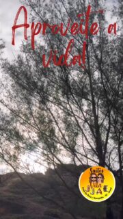 É no som do mar que se recarrega as baterias 🙏🫶. #suitesvilajjae #pousadanapraiadorosa #surflandgaropaba #praiadorosagaropaba